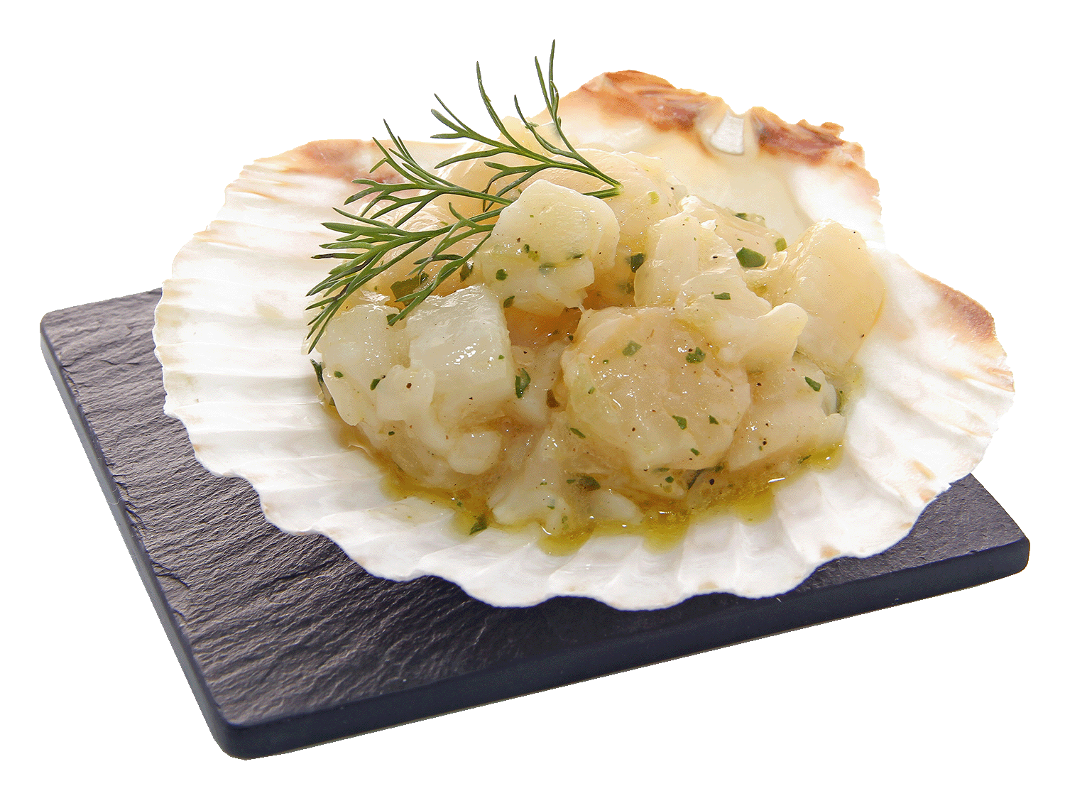 coquille Saint-Jacques